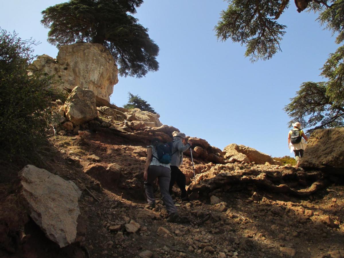 Gite Skoura Caid Bou Malla 外观 照片