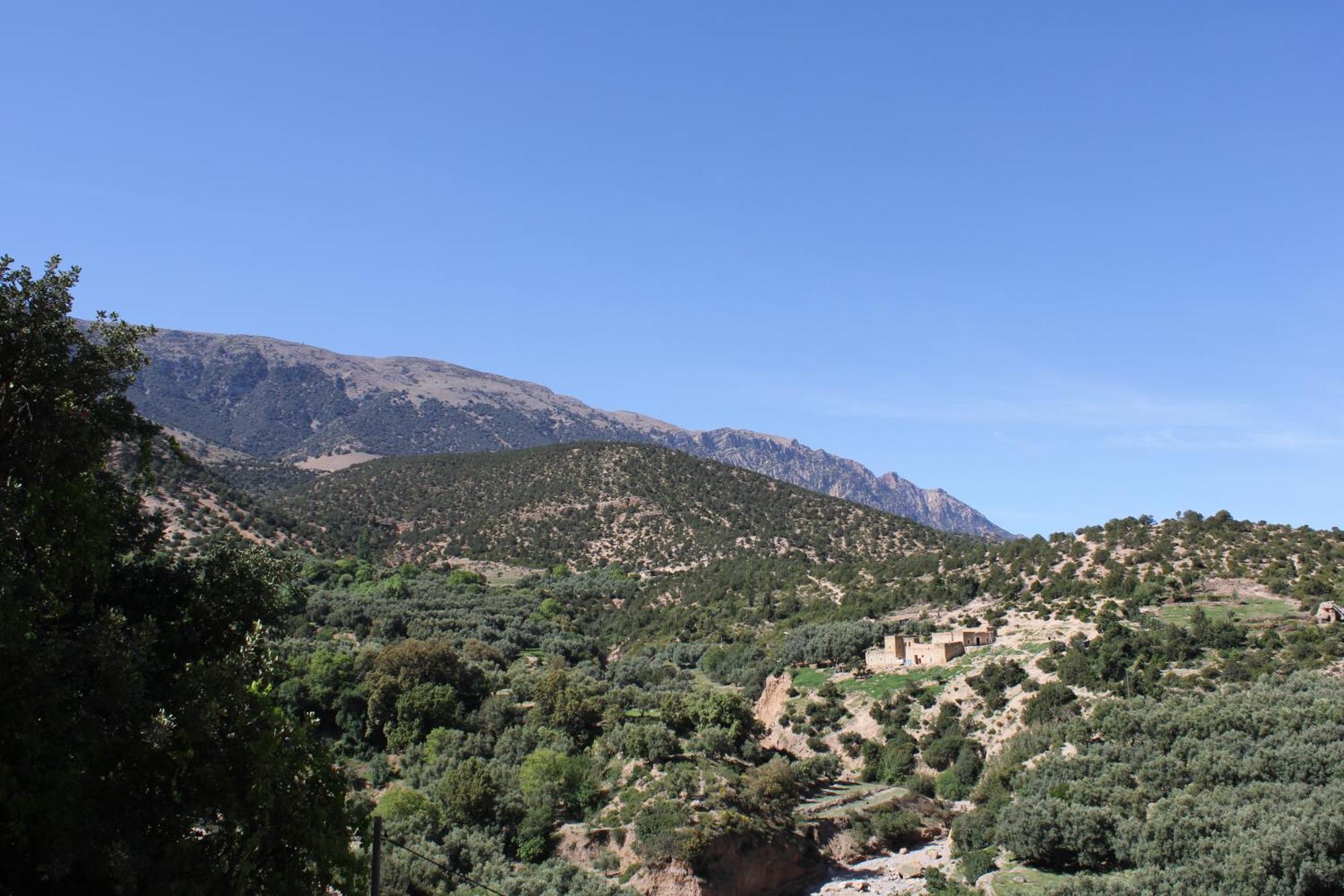 Gite Skoura Caid Bou Malla 外观 照片